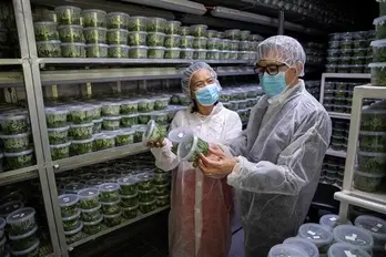 Israel’s agritech expected to help Vietnam increase agricultural productivity, quality