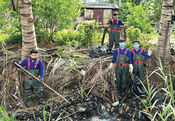 For the green environment