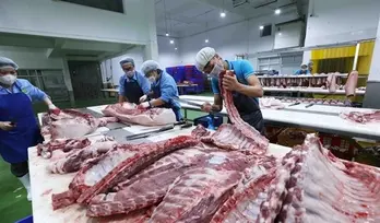 Deputy PM requests investigation into record high pork prices