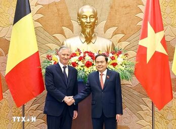Nhà Vua Bỉ ấn tượng về thành tựu phát triển kinh tế - xã hội của Việt Nam