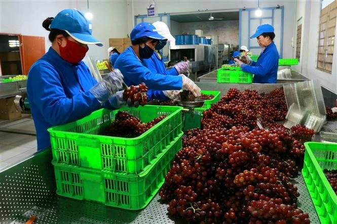 Vietnamese firms embrace green, digital export strategy to meet global standards