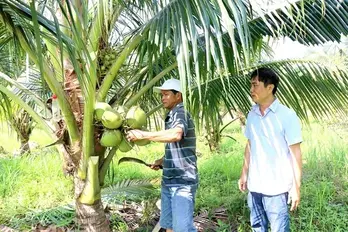 Northern Europe is potential market for Vietnamese organic products