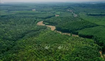 Emission reduction brings carbon credit opportunity for agricultural sector