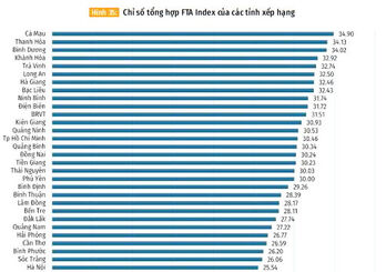 Long An xếp thứ 6 toàn quốc trong Bộ chỉ số FTA Index 2024
