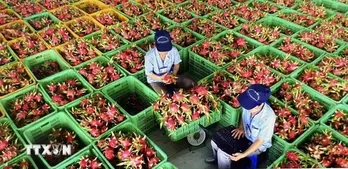 Singapore accelerates digital transformation in import quality checks