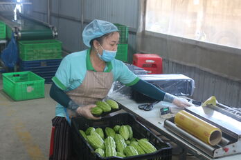'Hợp tác xã - Xây dựng một thế giới tốt đẹp hơn'