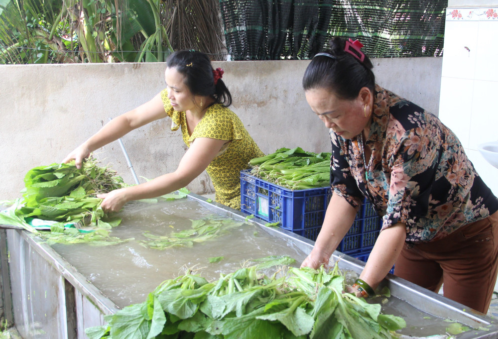 Solving output problem to develop OCOP products