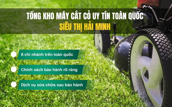 Máy cắt cỏ có những loại nào, dòng máy nào tốt?