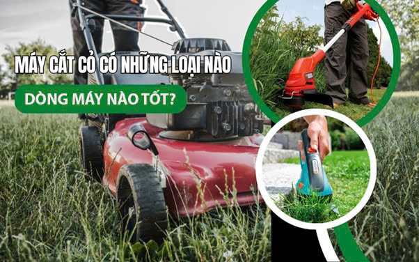 Máy cắt cỏ có những loại nào, dòng máy nào tốt?