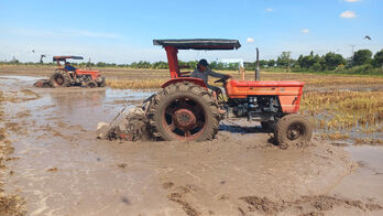 For a successful Summer-Autumn rice crop