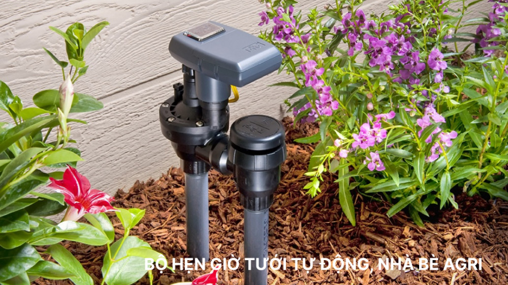 Vai trò van điện từ và bộ hẹn giờ tưới trong hệ thống tưới tự động