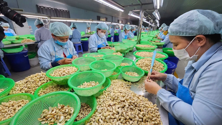 Tranh thủ Mỹ hoãn áp thuế, doanh nghiệp Việt đưa thêm giải pháp