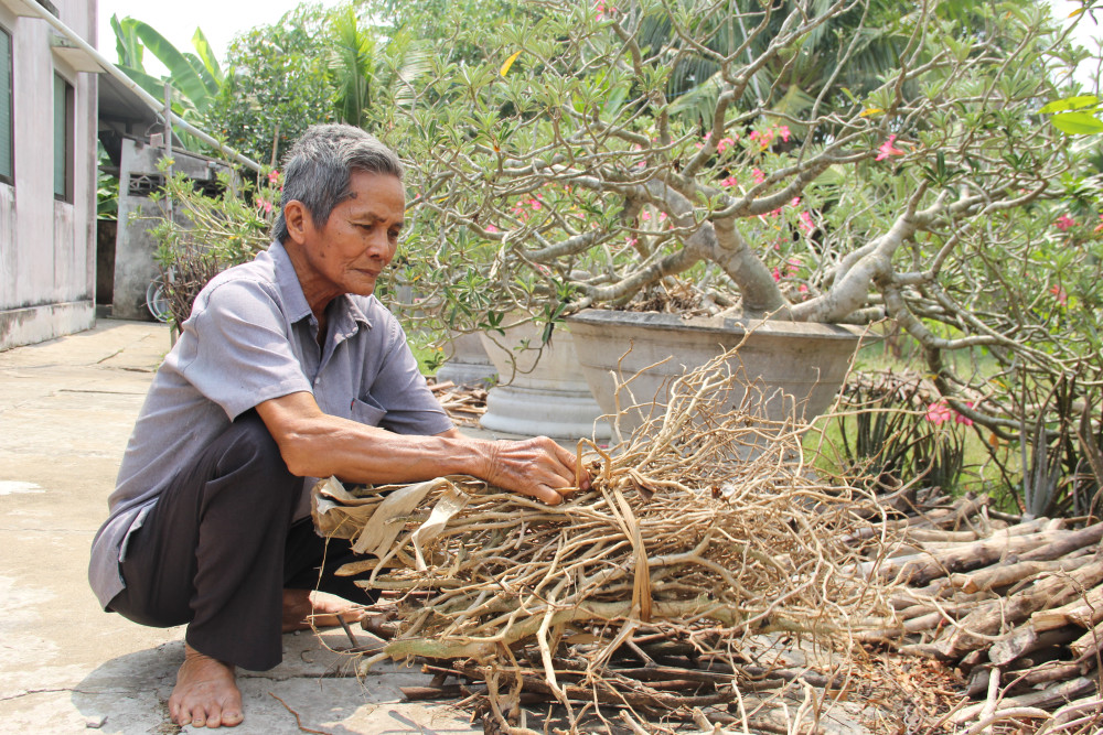 Anh dũng thời chiến, cống hiến thời bình
