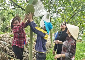 Thoát nghèo nhờ Quỹ Hỗ trợ cộng đồng David Dương