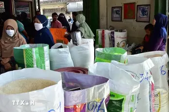 Thailand’s rice exports fall sharply in first quarter