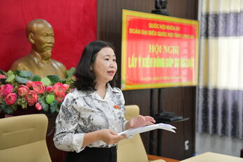 Đoàn đại biểu Quốc hội tỉnh lấy ý kiến đóng góp các dự án luật