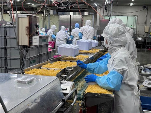 Vietnam, Japan ink strategic oyster industry partnership Vietnam, Japan ink strategic oyster industry partnership