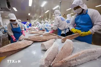 Vietnam among Singapore’s top four seafood suppliers