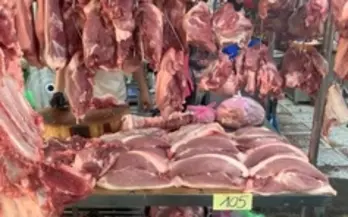 Giá heo hơi hôm nay 02/5: Đi ngang sau kỳ nghỉ lễ