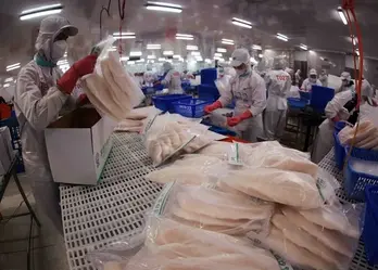 Tra fish exports on track reach close to 2 billion USD in 2025