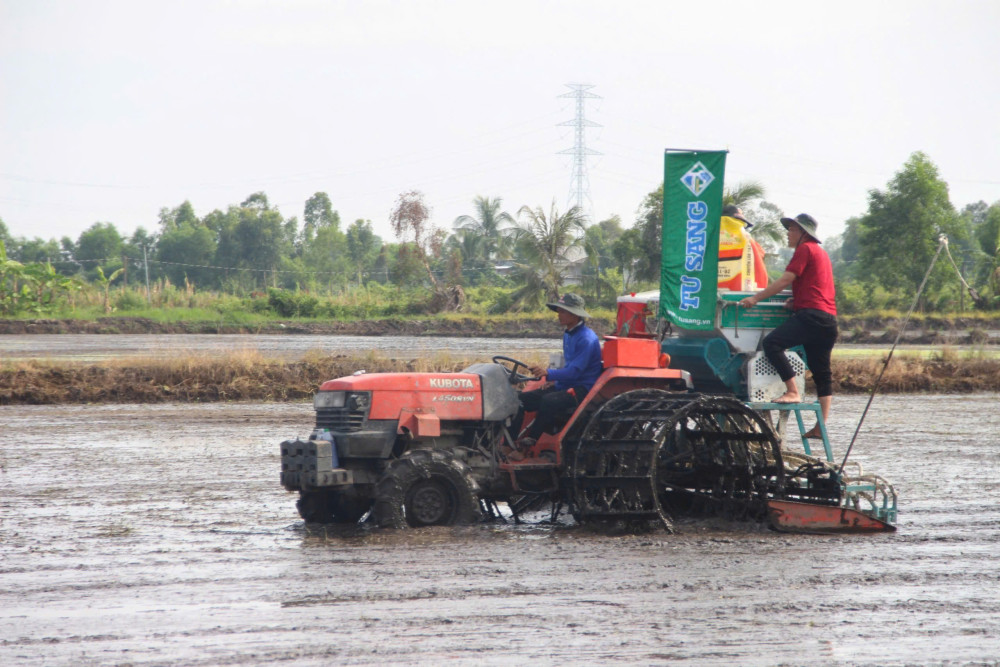 Để ngành hàng lúa gạo phát triển bền vững