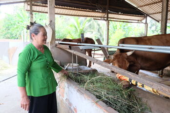 Vượt khó, làm giàu trên mảnh đất quê hương