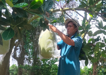 Người trưởng ấp nói dân nghe, làm dân tin