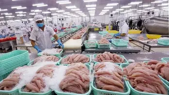 Xuất khẩu thủy sản Việt Nam phục hồi mạnh mẽ