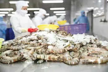 Vietnam, Cuba expand high-tech shrimp farming cooperation