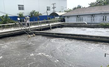 Bảo vệ môi trường - cần cả nhận thức lẫn hành động