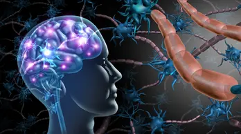 Phát hiện mới liên quan đến vùng não nơi sinh ra ý thức