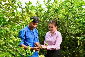 Tiếp sức cho thanh niên phát triển kinh tế