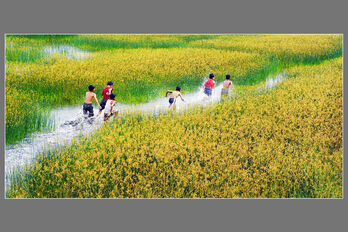 Góc ảnh 'Long An quê hương tôi'