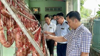 Tăng cường kiểm tra, phòng, chống thực phẩm giả và ngộ độc thực phẩm