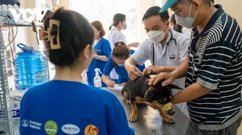 Bảo đảm tiêm phòng ngừa cúm gia cầm, lở mồm long móng đạt trên 80% tổng đàn vật nuôi