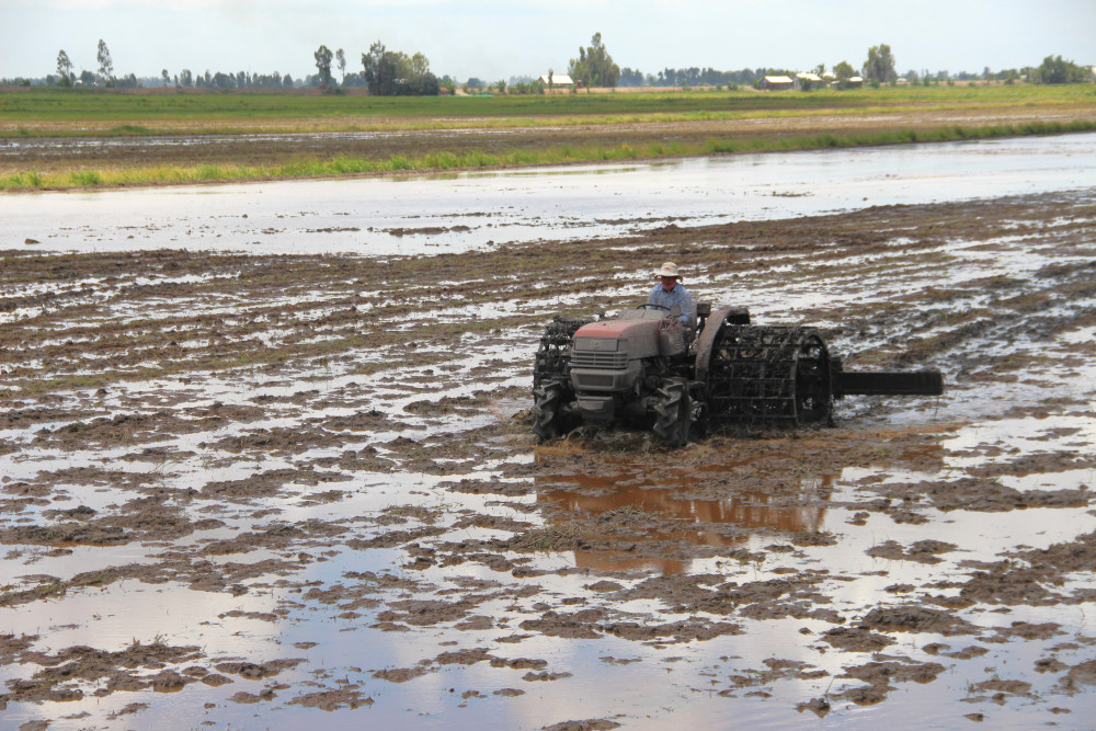 For a successful Summer-Fall 2025 crop!