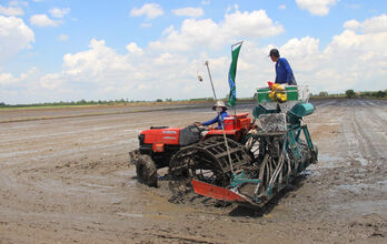 For a successful Summer-Fall 2025 crop!