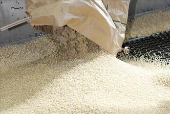 Thị trường nông sản: Gạo Mỹ chiếm lĩnh thị trường Nhật Bản
