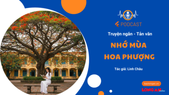 Nhớ mùa hoa phượng