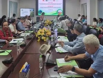 Research findings support sustainable, low-emission rice farming