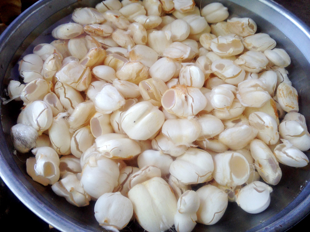Món ngon vùng Bảy Núi