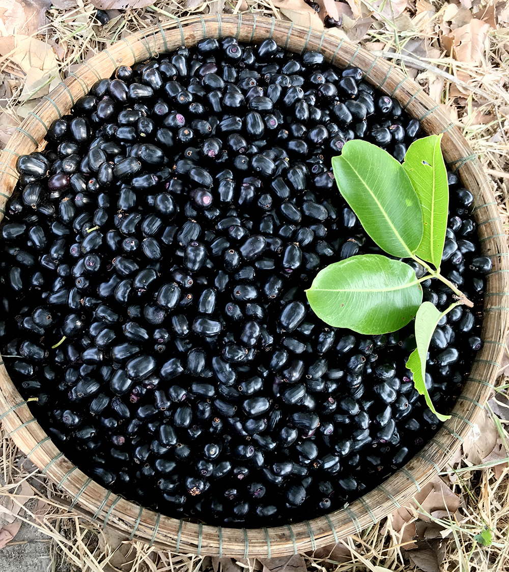 Món ngon vùng Bảy Núi