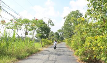 An Vĩnh Ngãi: Ý Đảng - lòng dân trong xây dựng nông thôn mới