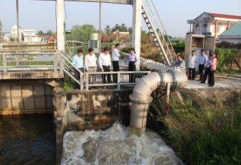 Xâm nhập mặn không ảnh hưởng đến sản xuất