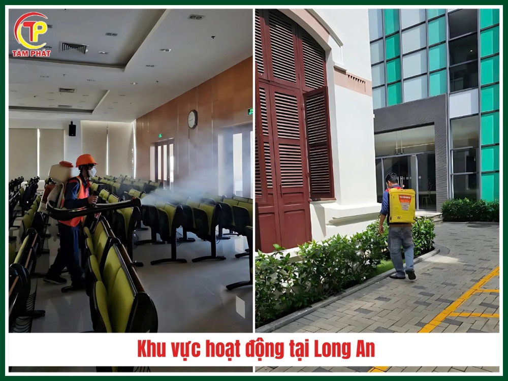 Công ty diệt mối tận gốc tại Long An uy tín - Diệt Mối Tâm Phát