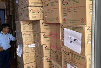 Long An phát hiện kho chứa gần 12.000 lon sữa nghi hàng giả