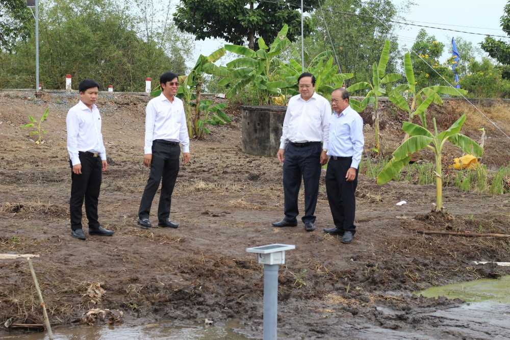 Đề án 1 triệu hécta lúa chất lượng cao, phát thải thấp: 'Cuộc cách mạng' trên đồng ruộng: Hình thành những cánh đồng kiểu mới (Bài 2)