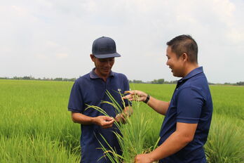 Đề án 1 triệu hécta lúa chất lượng cao, phát thải thấp - 'Cuộc cách mạng' trên đồng ruộng: Những trợ thủ đắc lực của nhà nông (Bài 3)