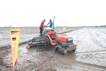 Đề án 1 triệu hécta lúa chất lượng cao, phát thải thấp - 'Cuộc cách mạng' trên đồng ruộng: Để đề án đạt hiệu quả bền vững (Bài cuối)