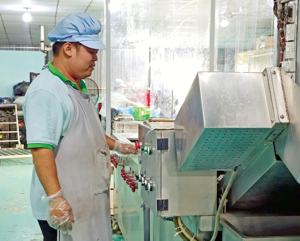 'Hợp sức, hợp vốn' phát triển kinh tế tập thể